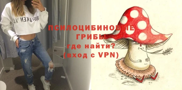 прущий лед Дмитров