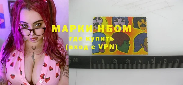 молекула духа Няндома