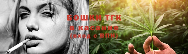 ПСИЛОЦИБИНОВЫЕ ГРИБЫ Щучье