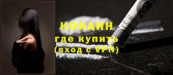 apvp Дмитриев