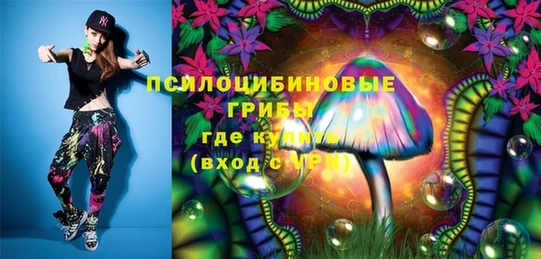 прущий лед Дмитров