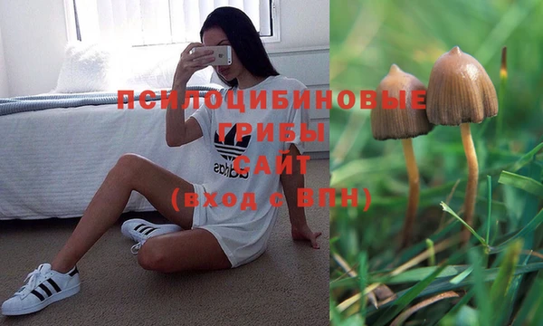 apvp Дмитриев