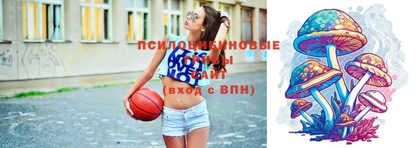 прущий лед Дмитров