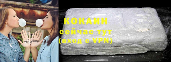 apvp Дмитриев